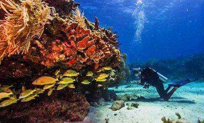 Water Activities in Gran Canaria | Adventure on the Atlantic Ocean