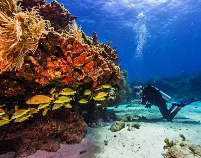Water Activities in Gran Canaria | Adventure on the Atlantic Ocean