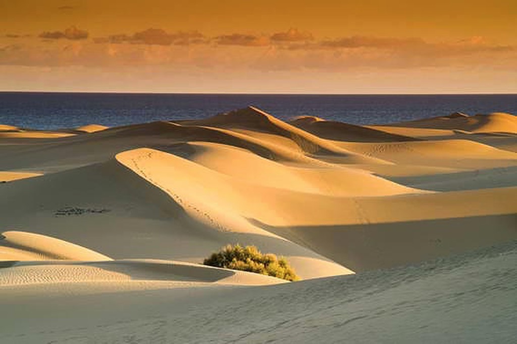 Holiday Rentals in Gran Canaria
